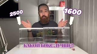 КАКОЙ БОКС ДЛЯ ФИГУРОК ЛУЧШЕ?