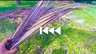 This reverse video will blown your mind!!!