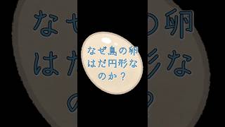 【さくっと解説】なぜ鳥の卵は楕円形なのか？ #雑学 #トリビア #動物 #科学 #卵