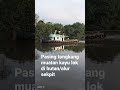 Pasing tongkang muatan kayu Lok di hutan/alur sempit#capten #shortvideo