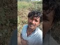 शेतकरी आहेस ना तर मर लवकर🙏 😈 funny shetakari bjp modi farmer shetakri farming cute virlvideo