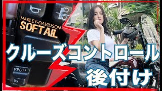 【HARLEY-DAVIDSON】クルーズコントロール増設してみたら。