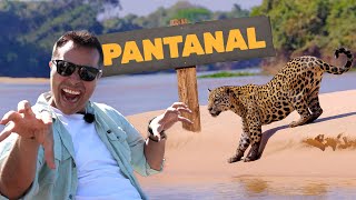 Pantanal | Biomas do Brasil | Ep.2