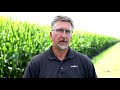 Improving the Health of Corn: Eastern Midwest Grow More Experience Virtual Tour