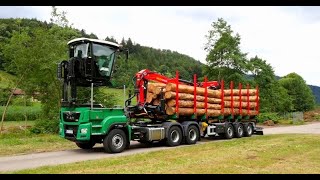 Doll Logo 12K TIMBER TRANSPORT YOU SHOULD SEE / Another level