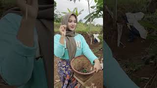 Gadis desa keturunan Turki cantik Alami #bidadaridesa #gadisbulepalestina #carijodohjandadesa