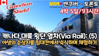 🇨🇦야생의 북부 온타리오에서 캐나다 순상지(Canadian Shield)의 대자연 체험하기 / 캐나다 횡단열차(Via Rail): 캐네디언 트레인 2(밴쿠버에서 토론토까지) (5)