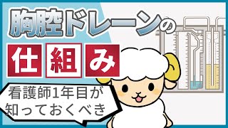 看護師1年目が知っておくべき胸腔ドレーンの仕組み【急変も予知できる】