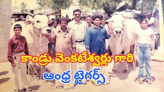 Kandru venkateswarlu gari  Bull's farming story and race history details Nandigama || part:1