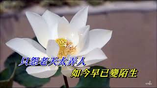 曲中人〈華語〉〈男調 演唱版〉