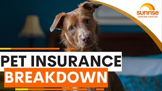 Pet insurance breakdown | Sunrise