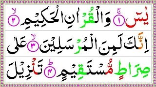 Surah Yaseen {Yasin shareef} | Beautiful Recitation  | Daily quran tilawat with Arabic Text