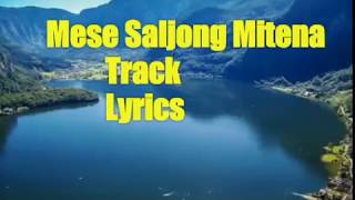 Mese Saljong Mitena Track Karoke Instrumental With Lyrics