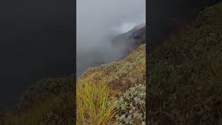 Tadiandamol 📍 3rd  highest peak in karnataka