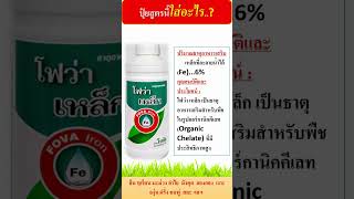 โฟว่า แมกนีเซียม (Mg) ธาตุอาหารพืชคีเลท