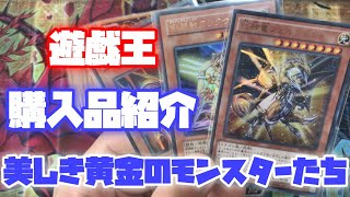 【遊戯王】金ぴかのモンスターたち！【遊戯王購入品紹介#11】【遊戯王コレクター】【遊戯王コレクション】