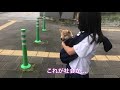 【豆柴】こむぎ、初めての抱っこ散歩