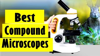Best Microscope: Top 5 Best Compound Microscopes In 2023