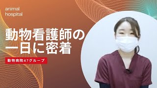 動物看護師に密着インタビュー ！普段見れない裏側を公開。