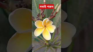 এই দোয়াটা সবাই পরেন।#আবু_ত্বহা_মুহাম্মদ_আদনান #abutohamuhammadadnan #ইস্তেগফার