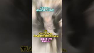 ありがとう。#福岡市動物園 #2024.9月10#享年12歳