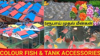 Ponmalai Santhai| Colour Fishes| Fish Tank Accessories| Sunday Market| Pet market| Trichy