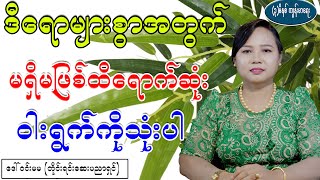 ဒီရောဂါများစွာအတွက်မရှိမဖြစ်ထိရောက်ဆုံးမို့၀ါးရွက်ကိုခုလိုသုံးပြုပါ၊ Health Benefit of Bamboo Leaves