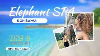 The BEST DAY in Koh Samui/Elephant SPA #thailand #travel #phiphiislands