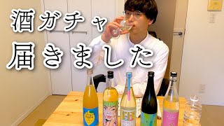 【酒ガチャ】日本酒いっぱい届いたから呑む #sake #酒ガチャ