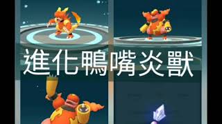 [Pokemon  GO]精靈寶可夢使用神奧之石進化鴨嘴炎獸