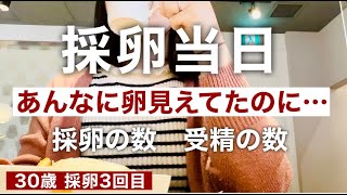 【不妊治療#74】３回目採卵当日！卵激減！？30歳の不妊治療👩採卵の数、受精した数🥚