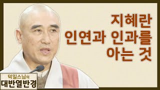 지혜란 인연과 인과를 아는 것 [덕일스님의 대반열반경 16회]