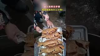 生命的顽强，做人如果没梦想，那跟咸鱼有什么区别呢？