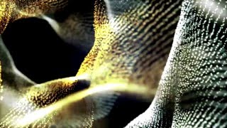 After Effects: Trapcode Form Test Render #1