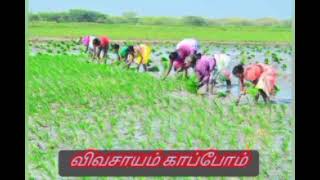 விவசாயம் #என் குலம் தொழில்//#agriculture life #subscribe