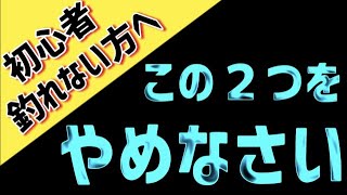 【ルアー釣り】初心者が絶対にやめるべき２つの要素！当てはまれば釣れません！