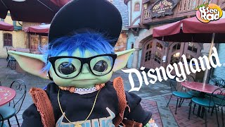 The Adventures of Grogu Fisher: Disneyland's Crazy Crowded Day!