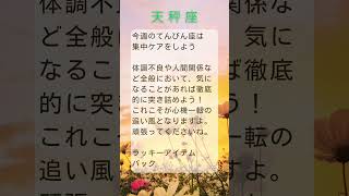 運勢占い10月14日〜10月20日