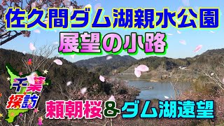 【千葉探訪】佐久間ダム湖親水公園・展望の小路　\