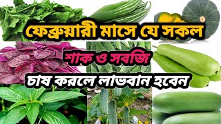 ফেব্রুয়ারী মাসের শাক সবজি চাষ,February  #tepukuria_farmers_hub #smart #agriculture.