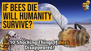 A world without bees | 10 things that would happen if bees died out.