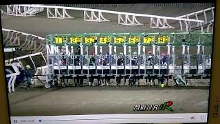 やはり圧勝オヤコダカ重賞３連勝　９/１３　門別競馬第１０Ｒ　旭岳賞[Ｈ３](クリエイター２賞)オープン　レース映像