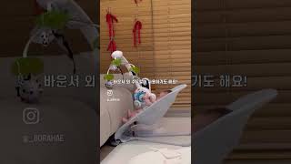 베이비뵨 바운서 사용방법 (각도, 신생아 아기 타는법) #바운서#베이비뵨