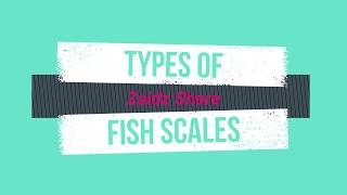 Types Of Fish Scales (Jenis-Jenis Sisik Ikan)