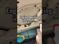 How to do a quick engine detailing!