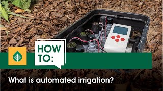 Automation Made Easy