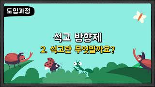 석고란 무엇일까요?