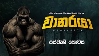 Waanaraya | වානරයා | පස්වැනි කොටස | SIRASA FM 2023 #waanaraya #thriller