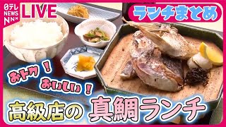 【ランチまとめ】 高級店のお得なランチ / 一品入魂のウマい店豪華！魅惑の食べ放題 / ランチ限定お宝メニュー　など　グルメニュースライブ（日テレNEWS LIVE）