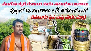 సంగమేశ్వరం ఆలయం గురించి మీకు తెలియని నిజాలు ,  శివలింగం పైన ఆవు ముద్ర గొడ్డలి కాట్లు